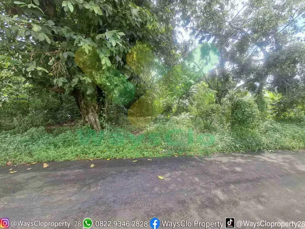 DIJUAL CEPAT TANAH CANTIK DAERAH KONSOLIDASI MAPANGET, HARGA SANGAT MURAH