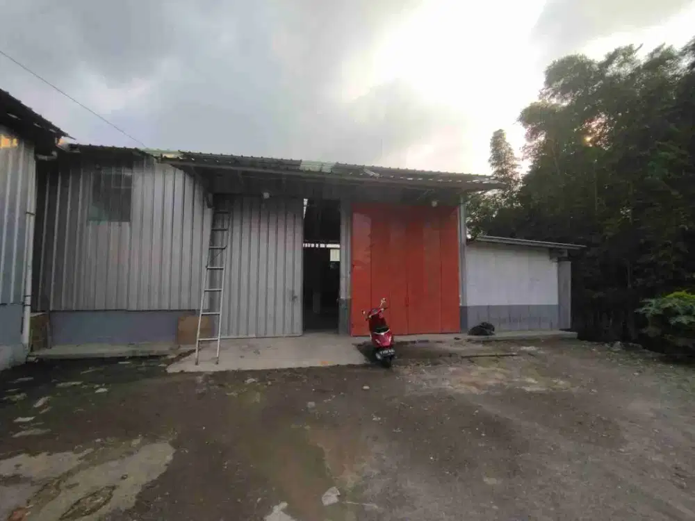 Disewakan gudang Pemda curuq