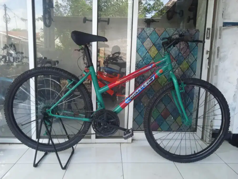 Sepeda anak gunung Ladys 26