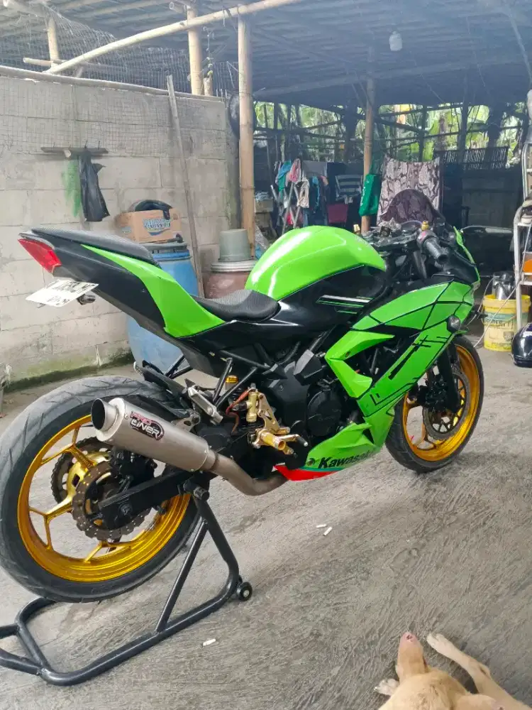 Ninja 250 sl 2014