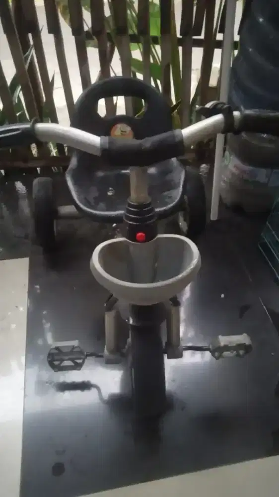 Sepeda anak roda 3 pacific