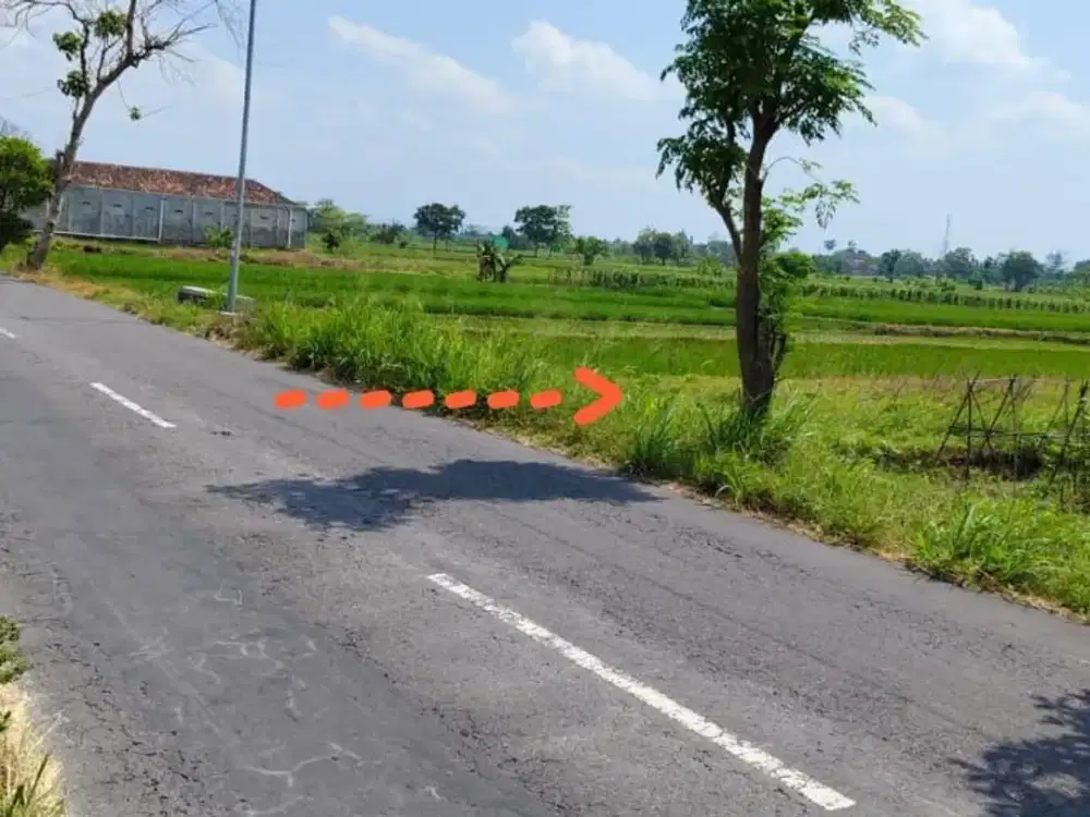Lahan Pertanian 1908m² Murah Bisa Kering Pinggir Jln Boyolali