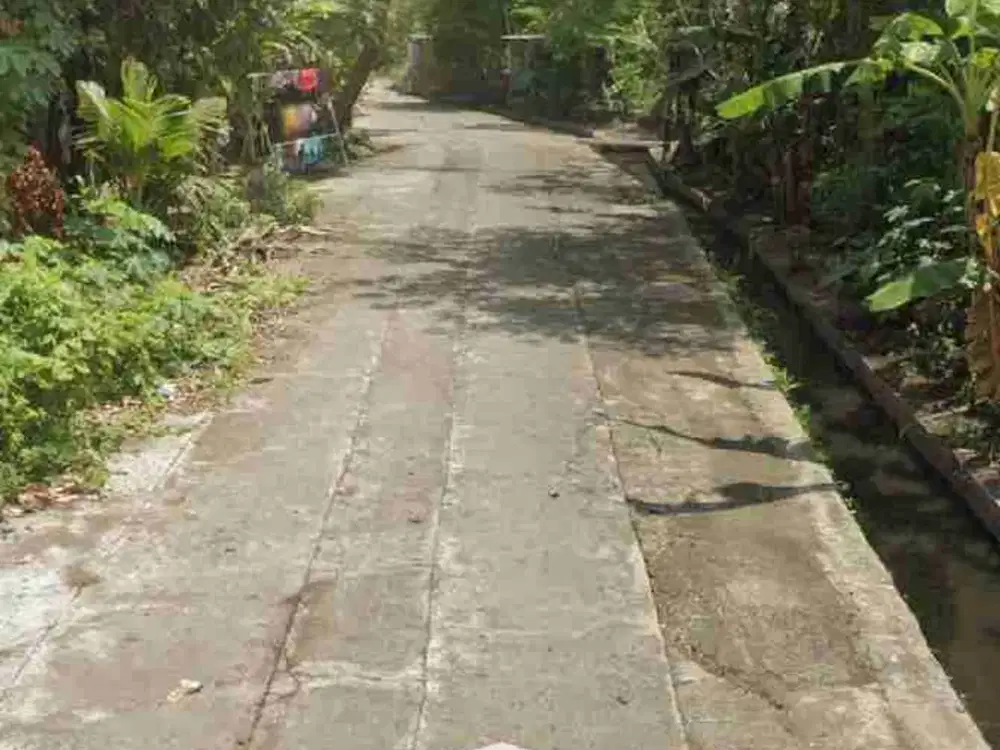 Jual Tanah View Sawah di Timur kampus ISI Bantul Yogyakarta