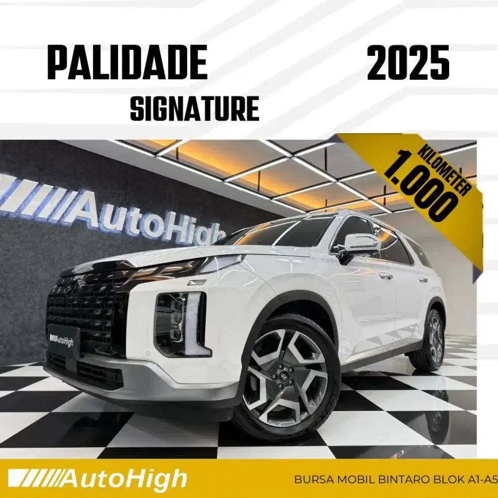 DP10% [Km1.000] Palisade Signature 2025 White / XRT Reg 2024 #AUTOHIGH