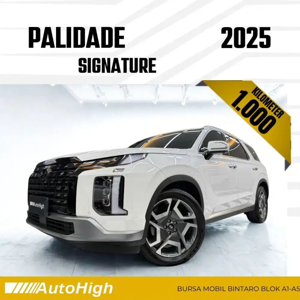 DP10% [Km1.000] Palisade Signature 2025 White #AUTOHIGH