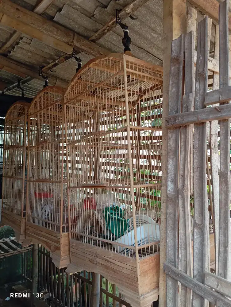 Sangkar kosan ukuran 40