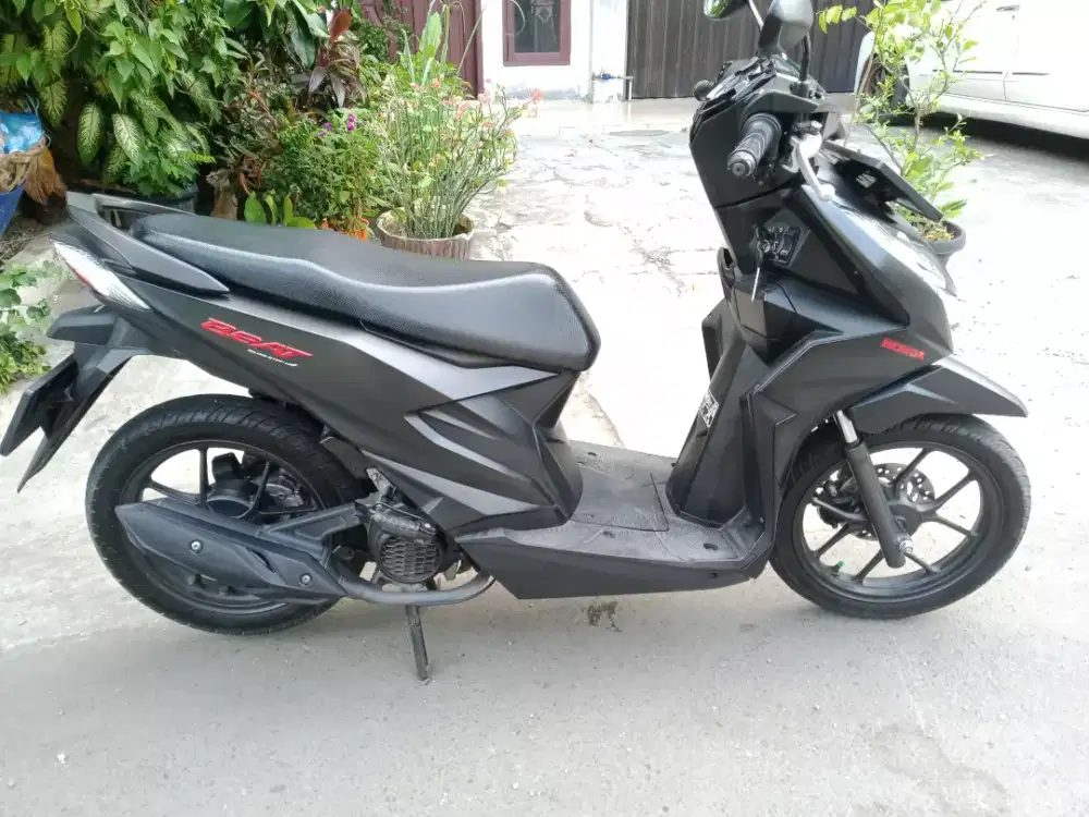 Jual beat tahun 2023