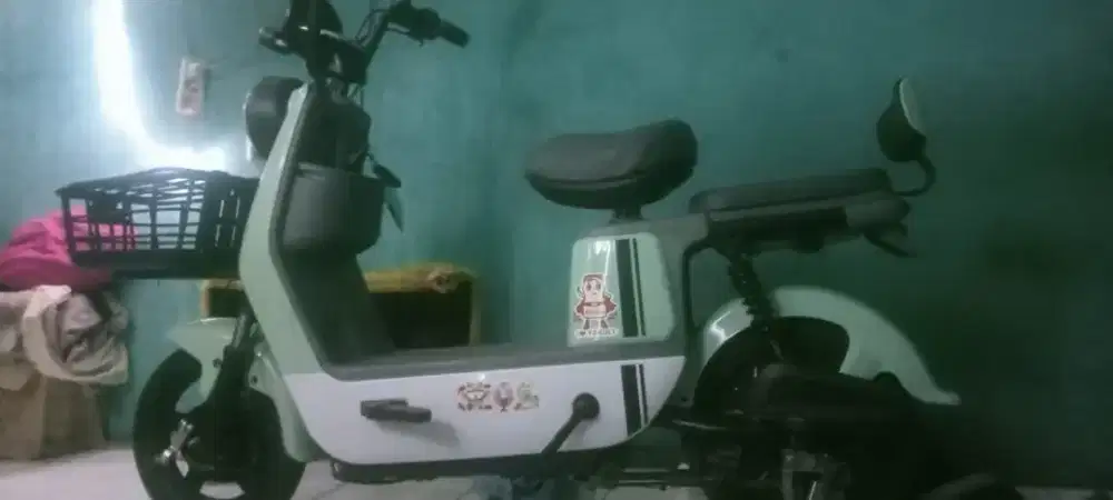 Sepeda listrik enine