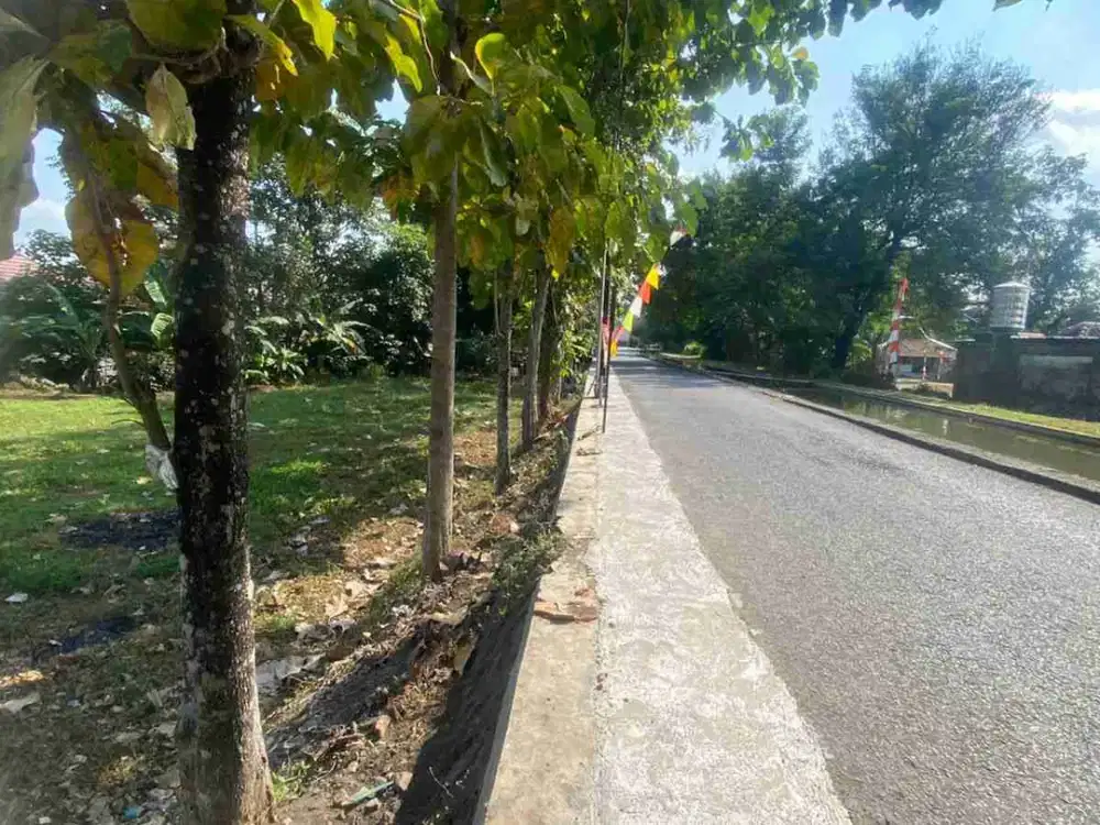 Tanah Sinduadi mlati