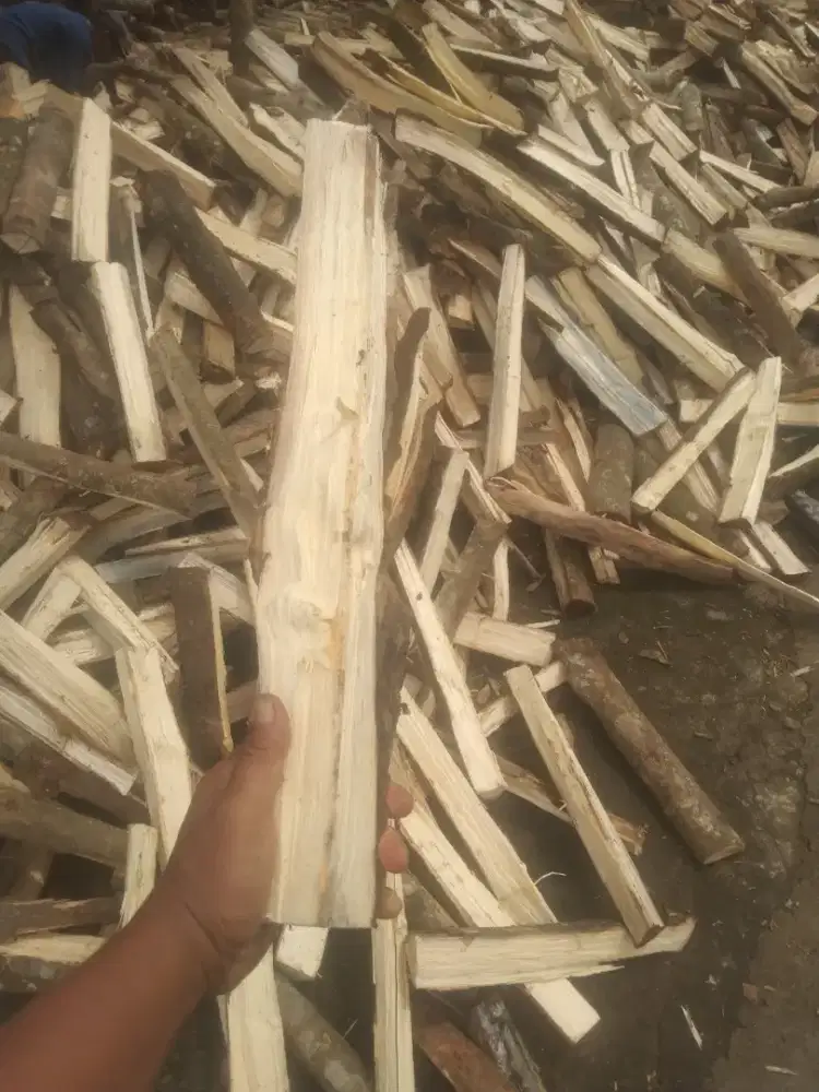 Kayu karet bakar