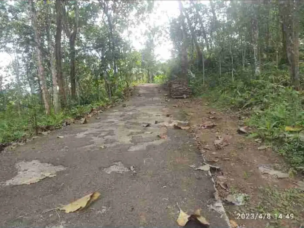 JUAL TANAH DI GIRIMULYO KULONPROGO VIEW SAWAH