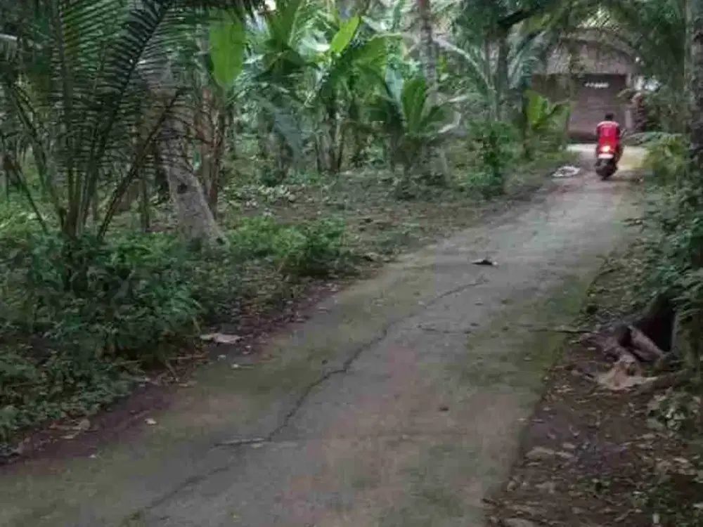 JUAL TANAH DI DEPOK PANJATAN KULONPROGO