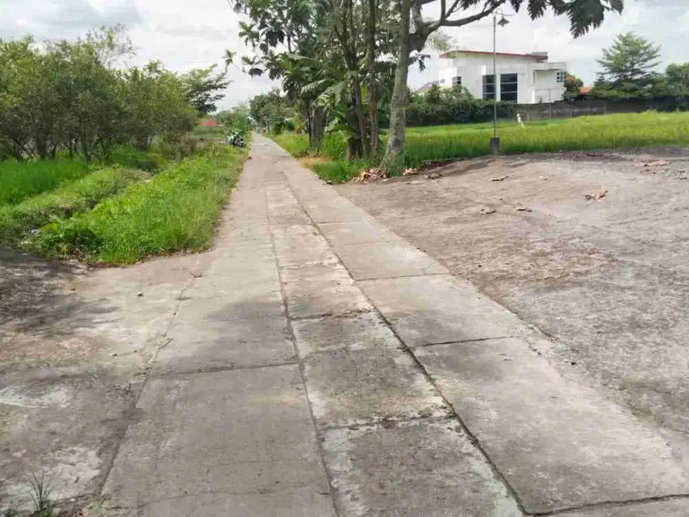 SAWAH MURAH TEPI JALAN MOBIL SIMPANGAN DI GODEAN SLEMAN YOGYAKARTA