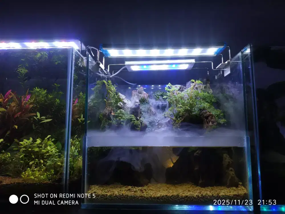 Aquarium Aquascape minimalis