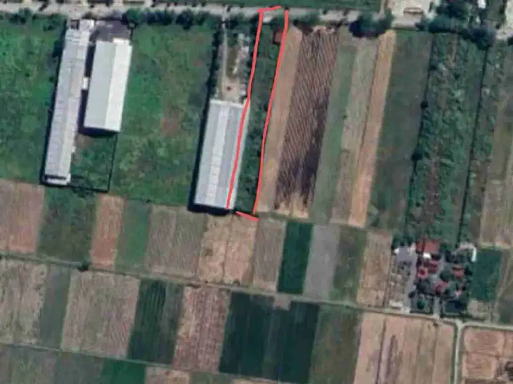 Di sewakan sudah pagar keliling lebar muka 20 meter di jln Adisumarmo