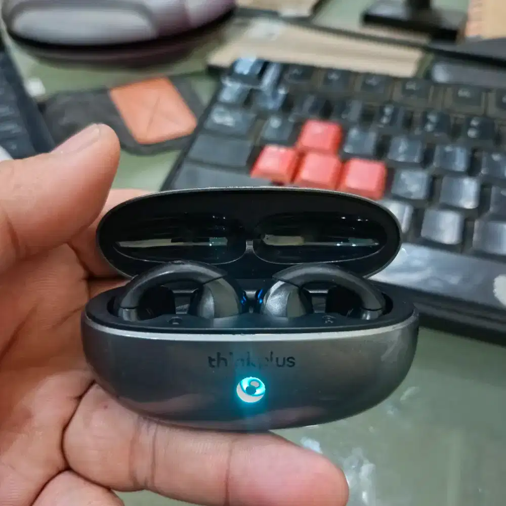 Earphone thinkplus