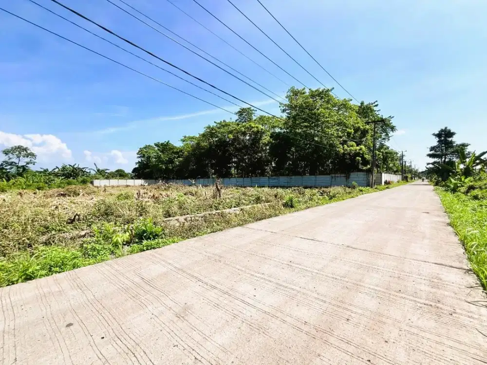 Kavling Murah Cisauk-Dekat Stasiun Cicayur Hanya 1JTan