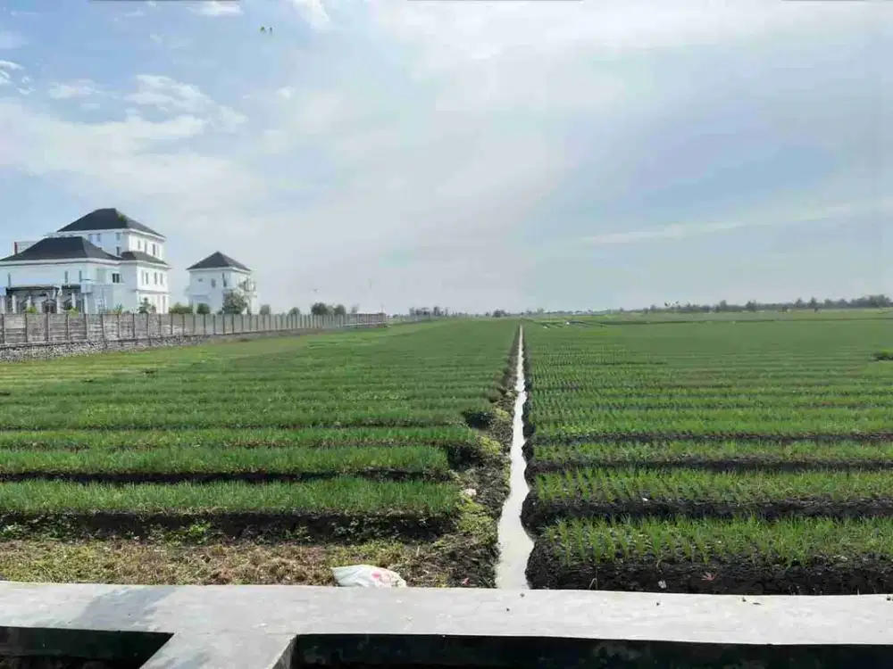 BREBES PASARBATANG TANAH LUAS PADAT PENDUDUK STRATEGIS DEPAN JALAN JUAL MURAH