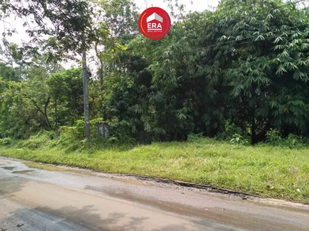 Tanah di Jl Raya Batok Cilejit, Tenjo, Bogor