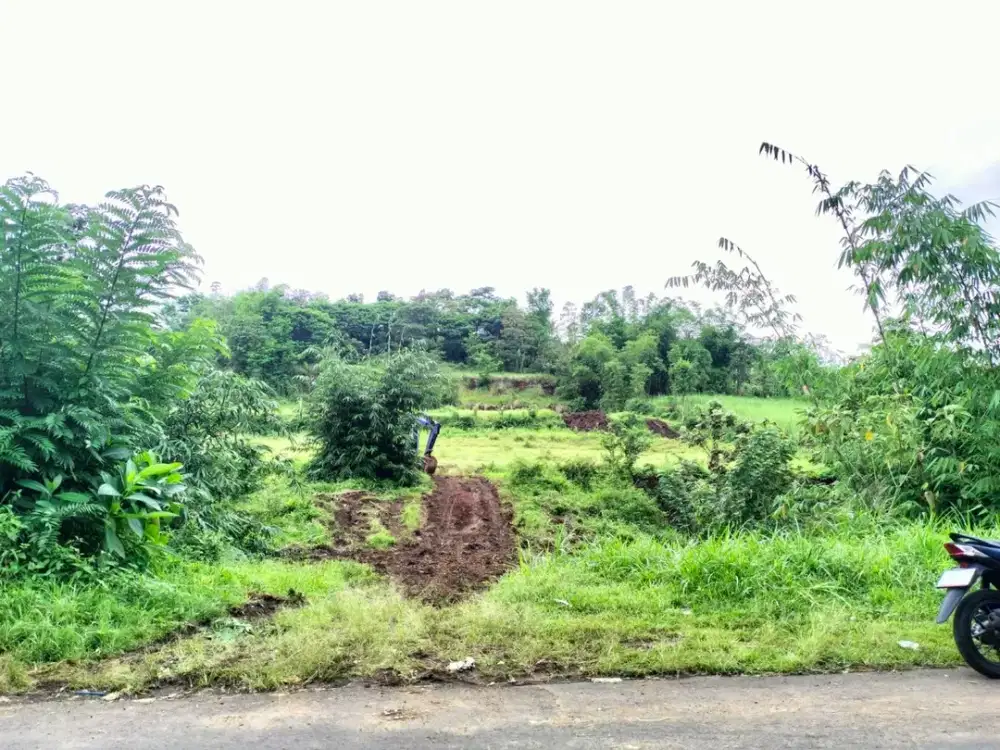 Jedong Tanah Kavling Murah 150 Juta Legalitas Aman