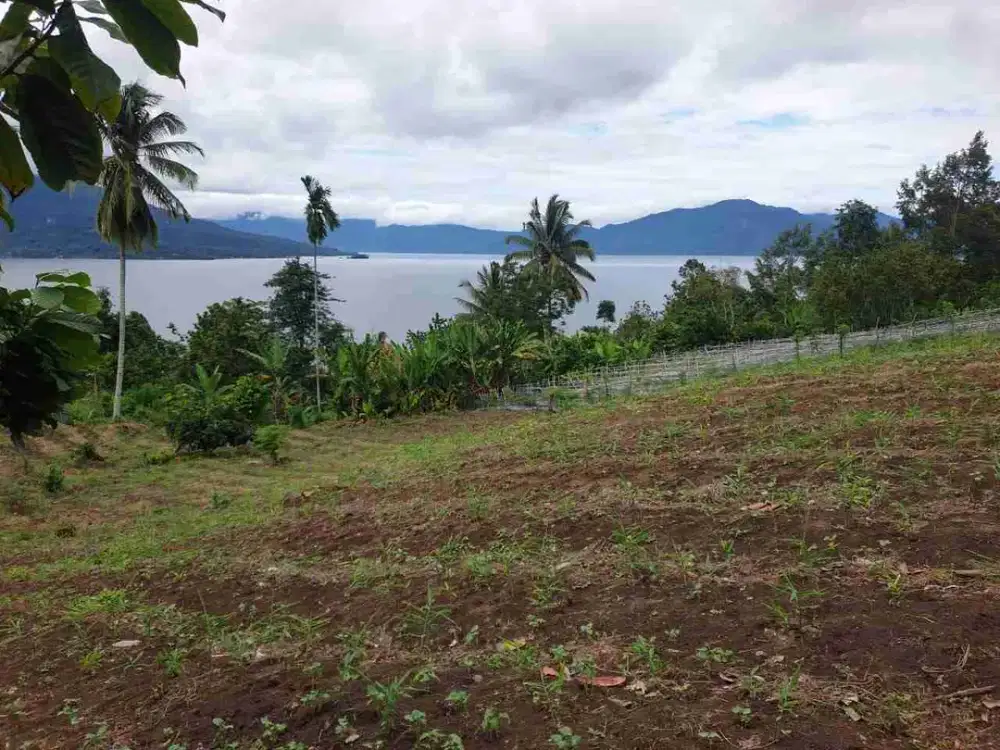 TANAH PERKEBUNAN 350m DARI WISMA PUSRI, KEC.RANAU TENGAH OKU SELATAN,.SUMATERA SELATAN