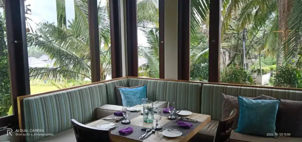 CARI PEKERJAAN DRIVER PRIBADI