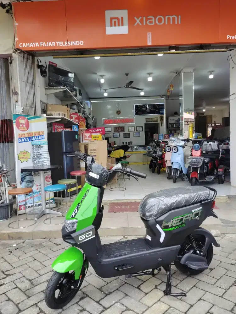 Sepeda listrik GODA 006