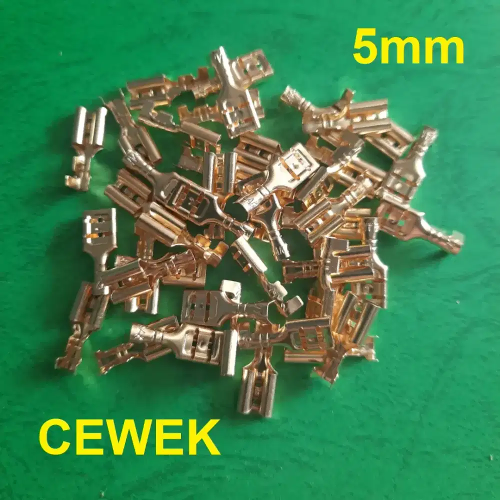 Skun atau Terminal Kabel