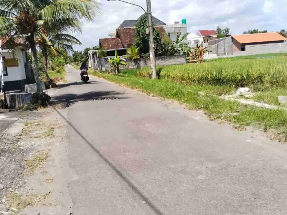 DIJUAL SAWAH BAGUS MURAH TEPI JALAN ASPAL DEKAT JALAN RAYA GODEAN