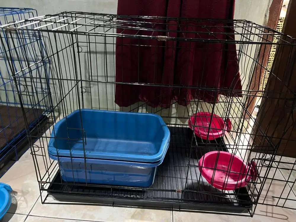 Kandang kucing dll