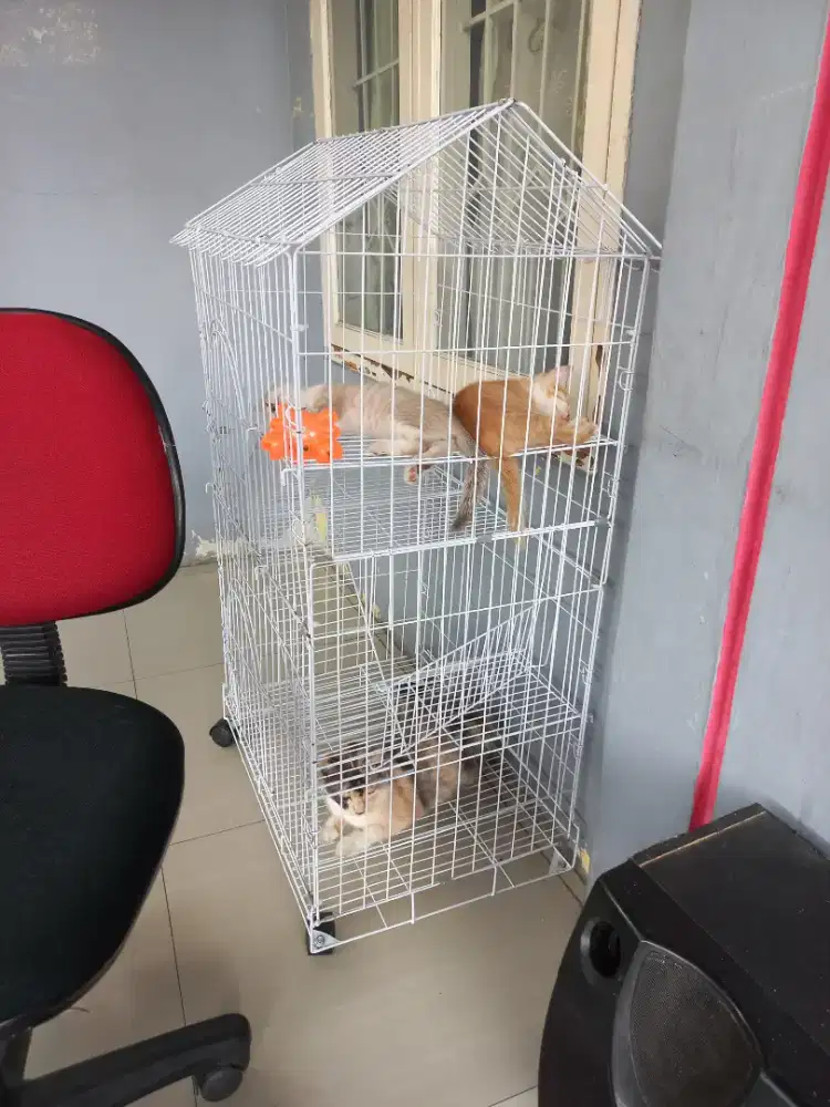 Kandang kucing 3 tingkat ukuran luas