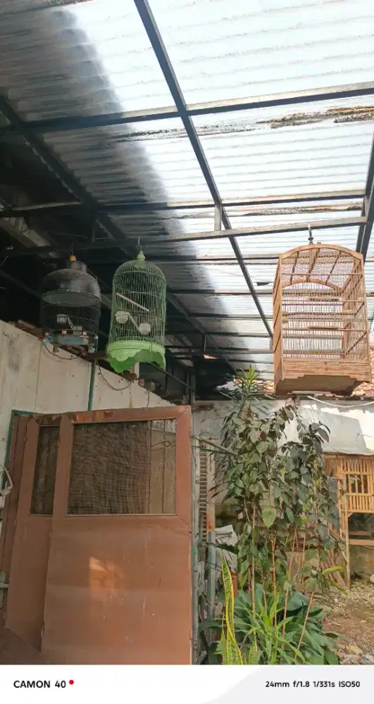 Di jual kandang buruan kicau