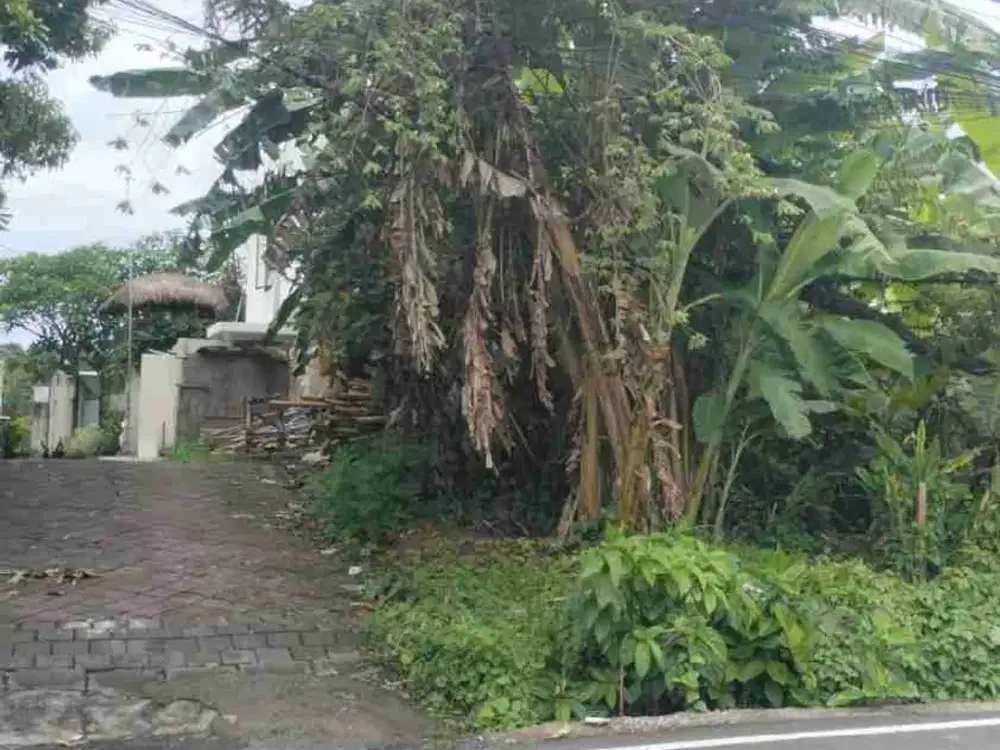 tanah bagus pinggir jalan raya cocok untuk usaha