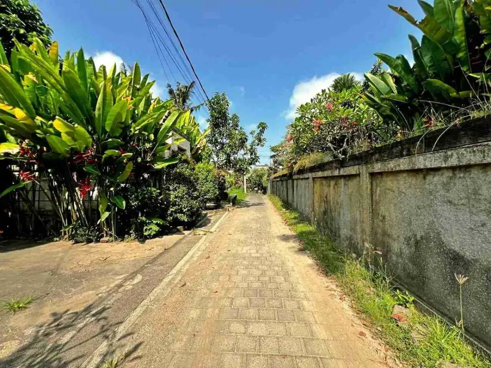 tanah bagus cocok untuk bangun villa