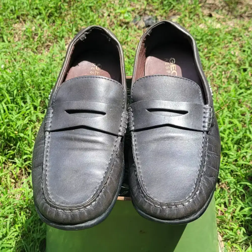 Sepatu Geox Italy No 40 Seken