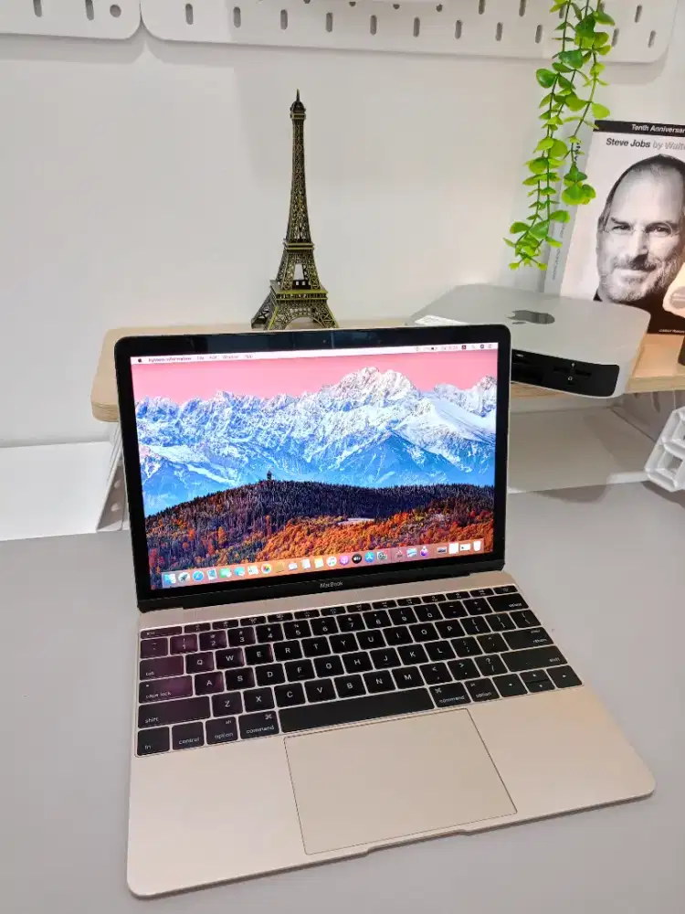 MACBOOK RETINA 2016 12 INCH CORE M3 8/256 GOLD