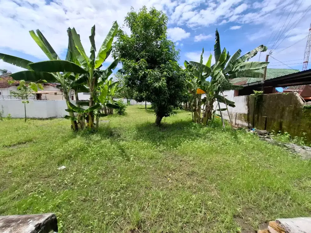 Disewakan tanah strategis