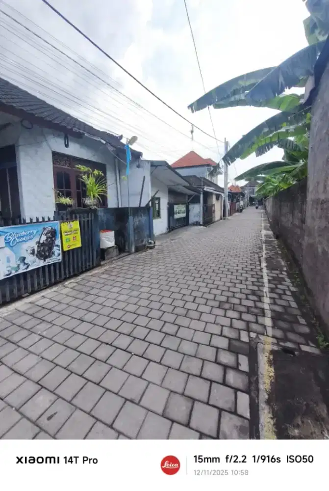 TANAH TUKAD BUAJI DEKAT SANGLAH RENONN
