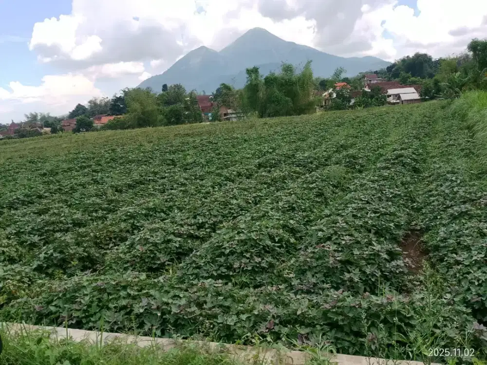 Dijual Tanah Cocok buat Villa