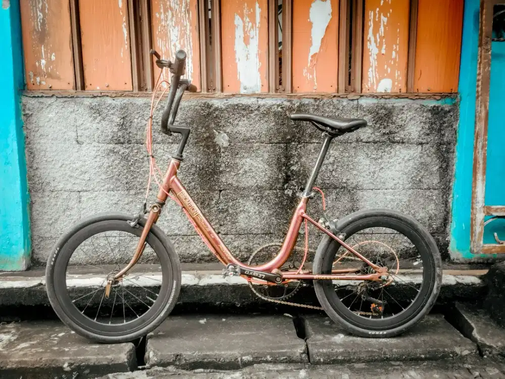 Di jual Sepeda minion 20