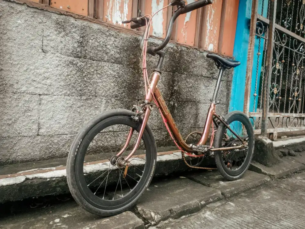 Di jual Sepeda minion 20