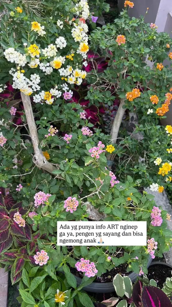 Dibutuhkan Asisten rumah tangga menginap