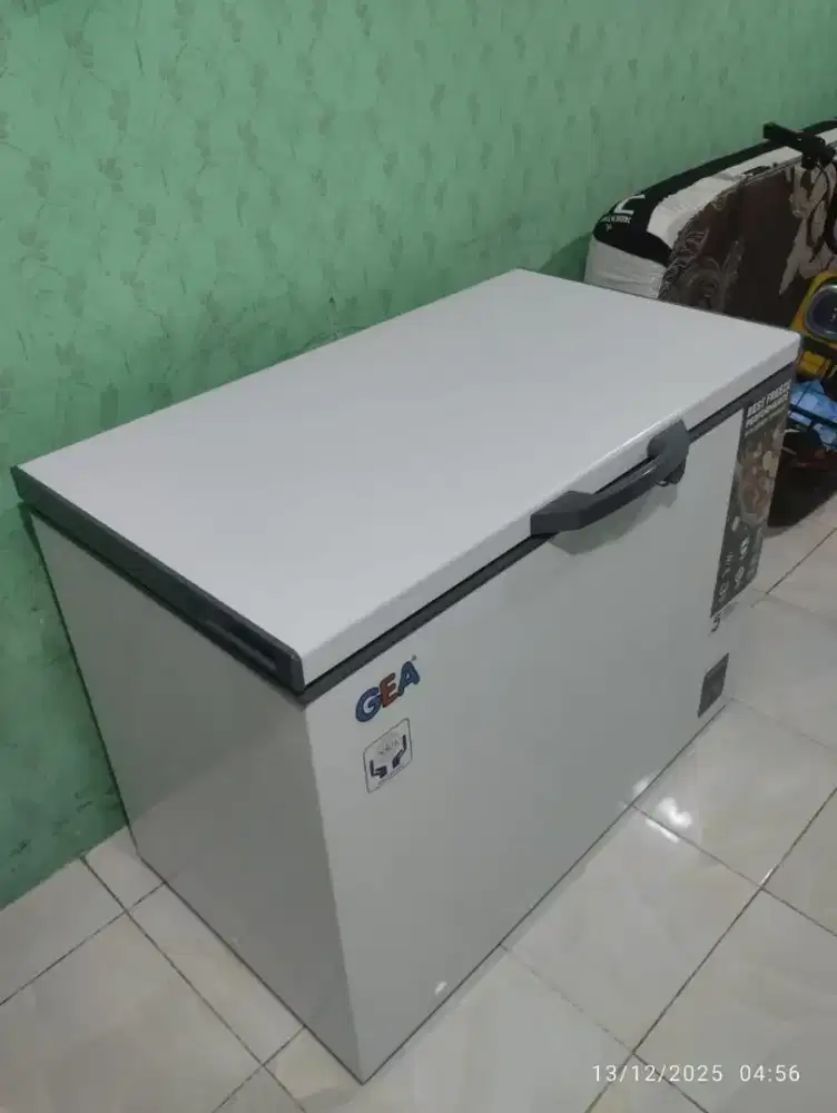 Freezer gea 318 Liter