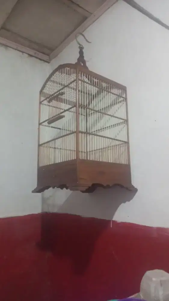 Kandang kos kosan. No.3