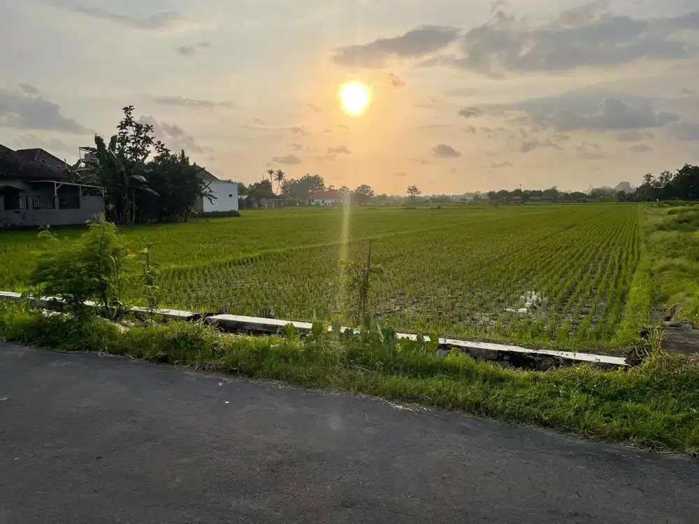 Dijual Tanah SHM Berbah Sleman Yogyakarta