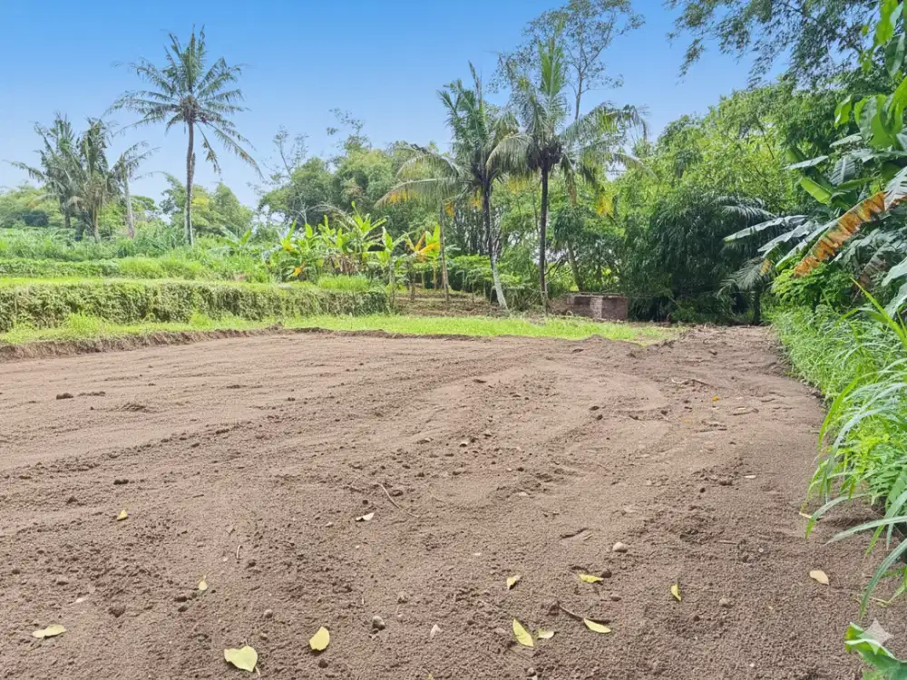 Tanah Pinggir Jalan Raya di Pusat Kota Sleman