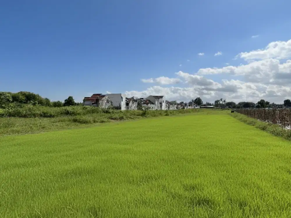 Tanah Godean Paling Dicari! Lokasi Premium Sidoarum, Akses Mudah