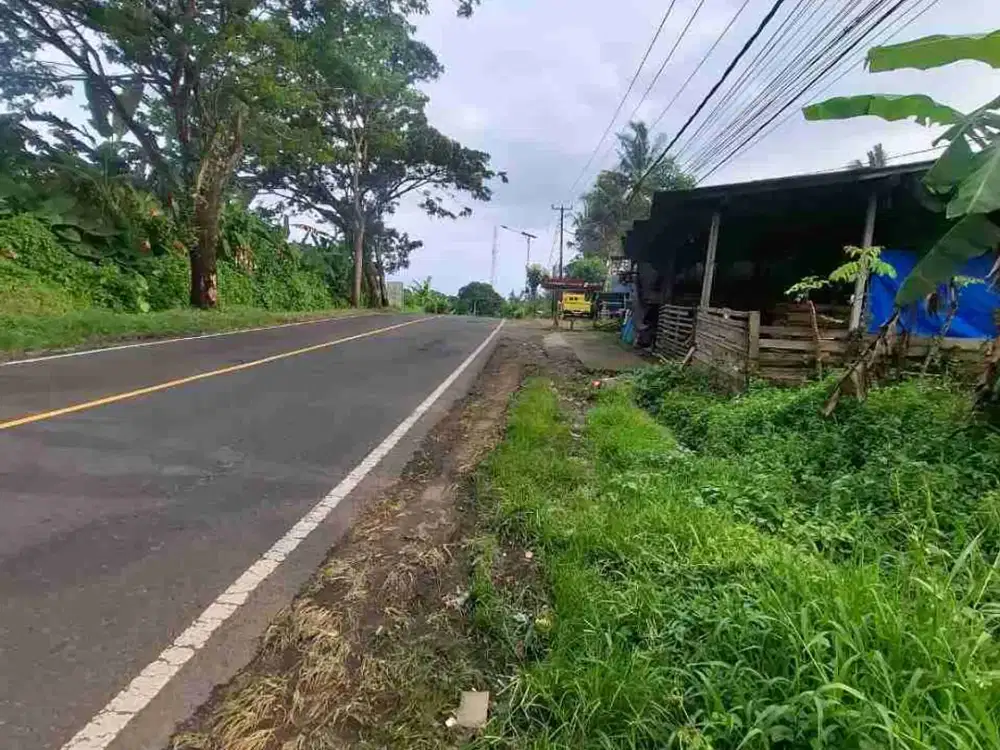 jual tanah pinggir jn denpasar gilimanuk.
