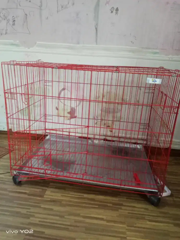 Kandang kucing besi lipat kokoh kuat