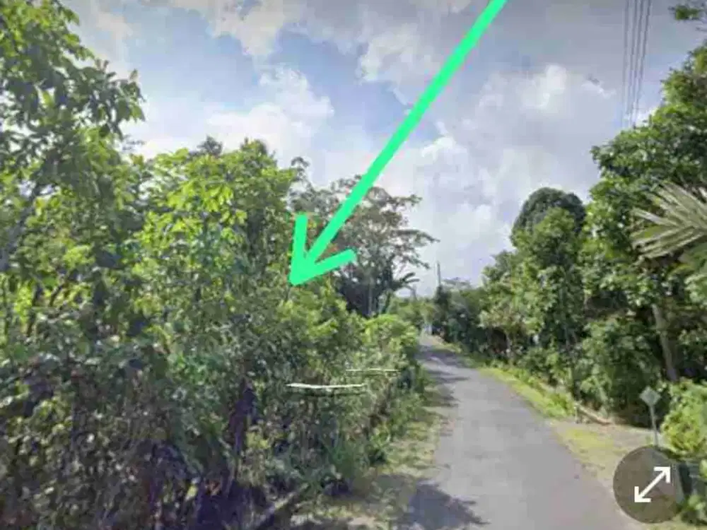 Tanah Murah Pekarangan Turi Sleman Yogyakarta